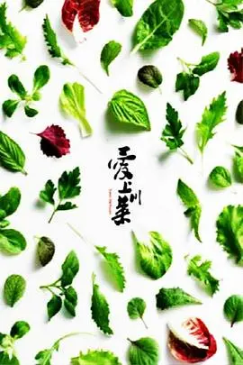 《爱上川菜》：一场舌尖上的麻辣爱情，挑战你的味蕾与心跳！