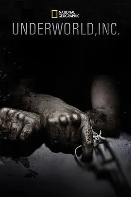 《黑市大企业第一季》：当“霸总”遇上“黑市”，一场利益与道德的博弈，炸裂来袭！