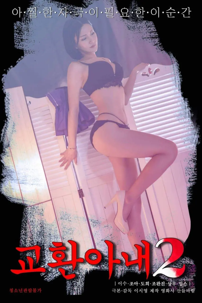 《交换妻子2》：跨越身份的温情碰撞，探寻婚姻的真实边界与情感的救赎之旅