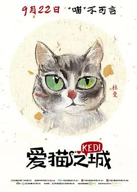 《爱猫之城》：猫咪霸占的温柔国度，一场治愈心灵的奇幻旅程，萌化你的每一个瞬间！