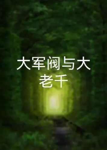 《大军阀与大老千》：一场关于“离婚”的豪赌，看他们如何玩转权谋与人心！